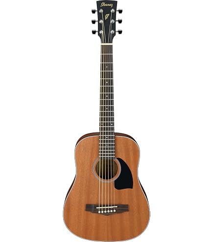Amazon.com: Ibanez EWP13 Acoustic Guitar - Dark Brown Open Pore